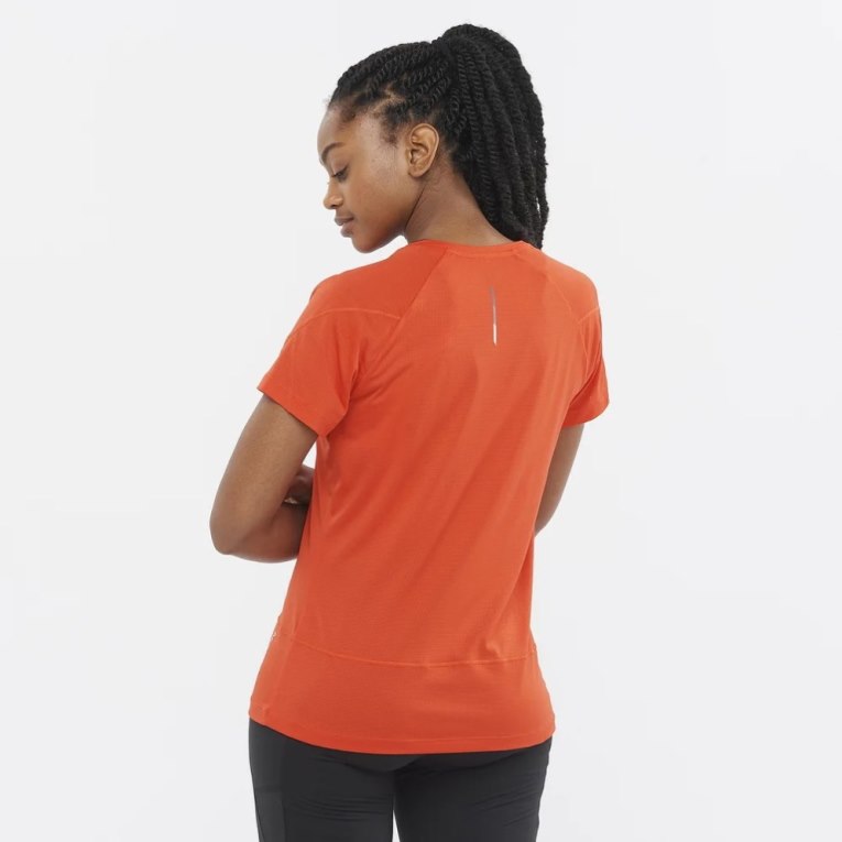 Camiseta Salomon Cross Run Curta Sleeve Feminino Coral | PT M19603